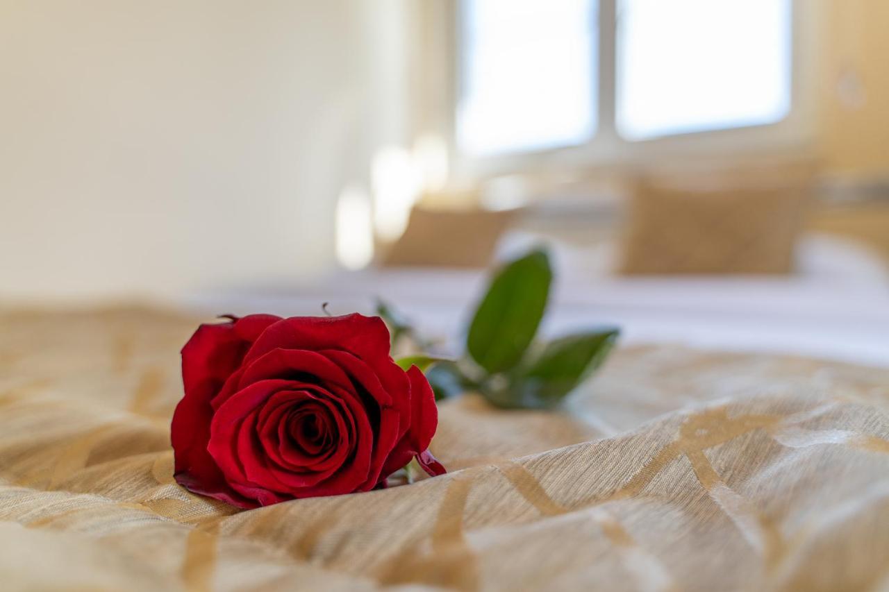 Vila Narcis Zlatibor Ngoại thất bức ảnh